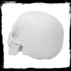 Czaszka Figurka Biała - Yorick 21 cm